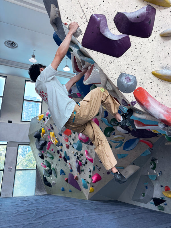 Purp Climbing Pants