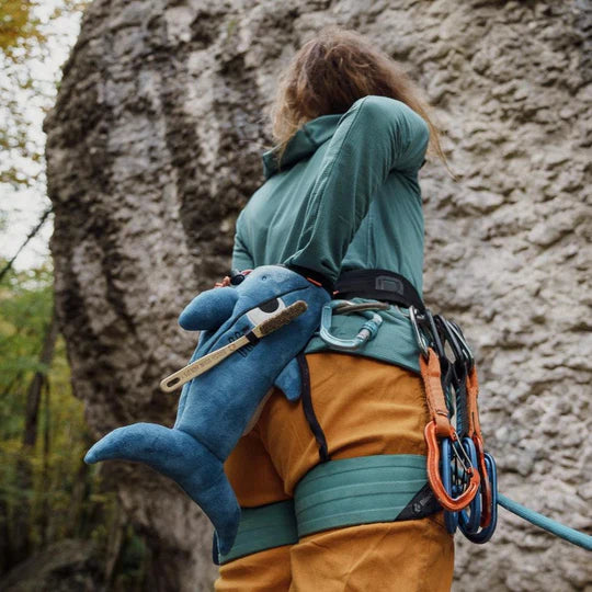 Shark Chalk Bag